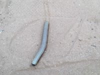 Anything Goes Even The Trail Of This Giant African Millipede Can Be Asked